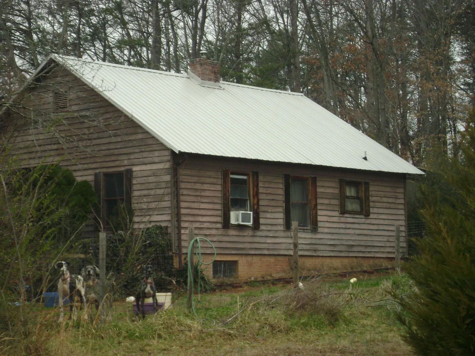 White metal roof on an old wood sided farmhouse, from a Asphalt Shingle Roof Repair job in Farmersville